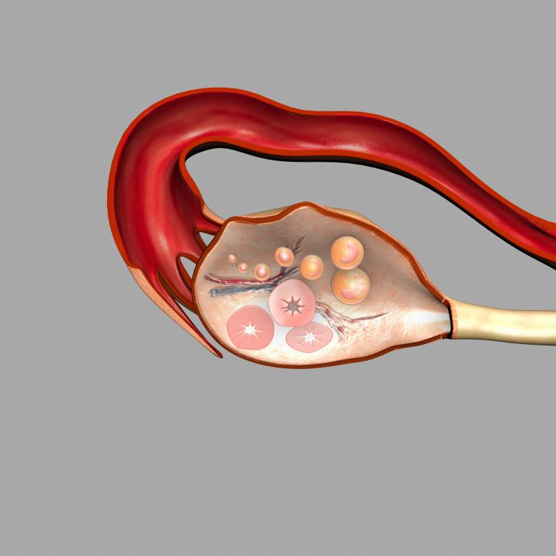 Letrozole outperforms clomiphene citrate for ovulation induction