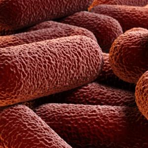 Glucocorticoid discontinuation may prevent infection in older RA patients