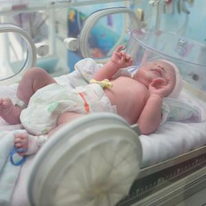 NICU probiotics supress risk of NEC, death