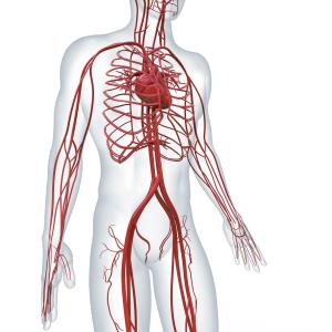 Comorbidities fewer prior to onset of giant cell arteritis