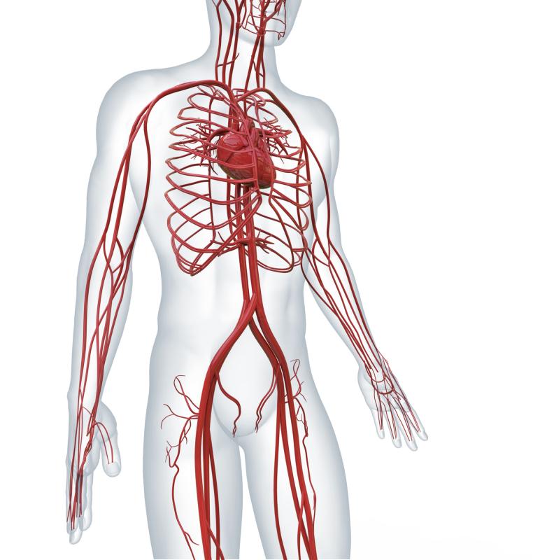 Comorbidities fewer prior to onset of giant cell arteritis