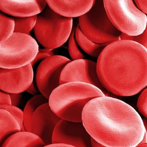 Thrombocytopaenia, platelet dysfunction common in Parkinson’s disease