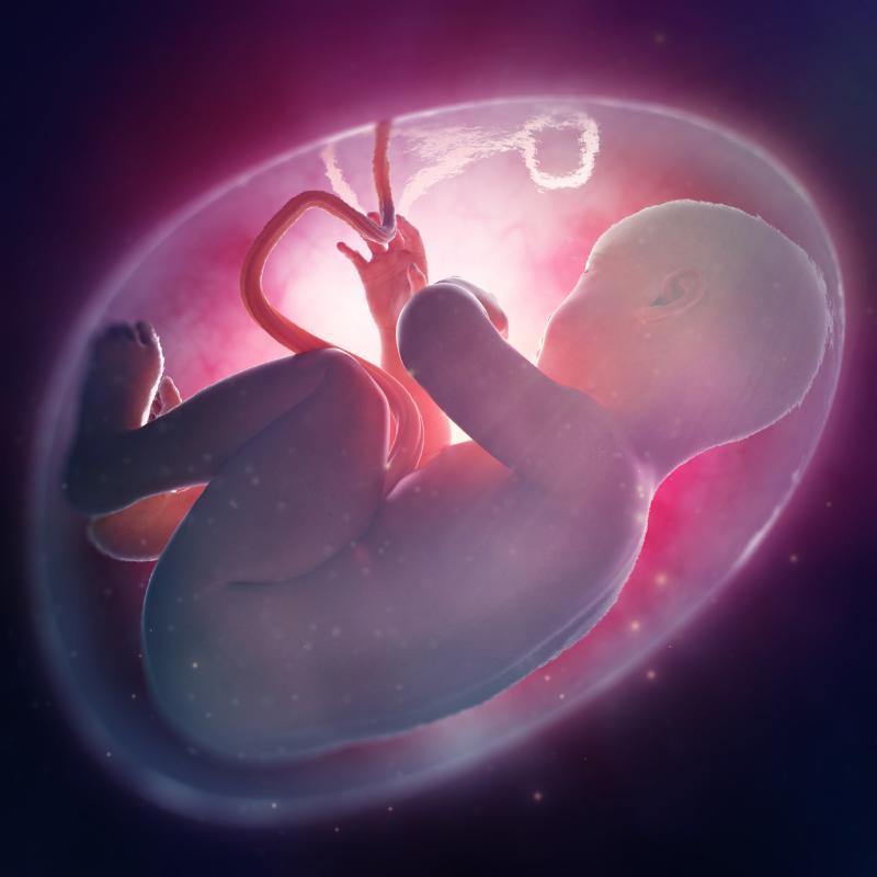 Prenatal ultrasound pinpoints early signs of autism spectrum disorder