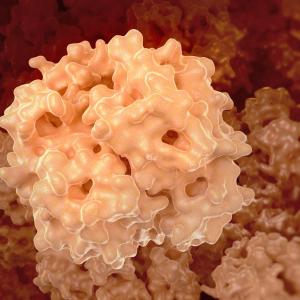 Urinary peptides linked to hypertension