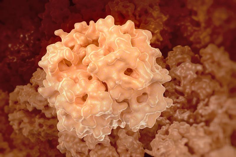Urinary peptides linked to hypertension