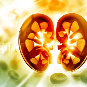 Nonalbuminuric diabetic kidney disease linked to poor outcomes