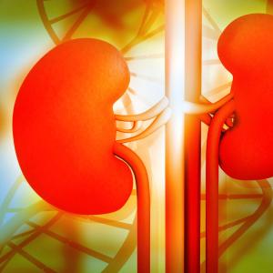 Pre-eclampsia a risk factor for postpartum acute kidney injury