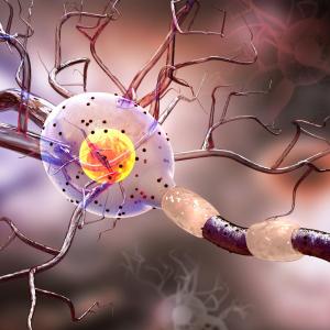 Long-term eslicarbazepine acetate safe, effective in focal epilepsy