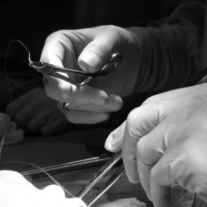 Hybrid suture technique yields better early outcomes for shoulder dislocation