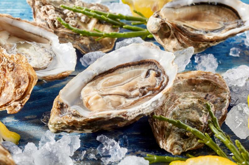 Oysters and other seafood are rich in Vitamin B12