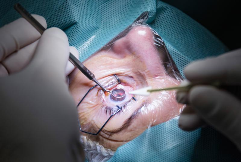 The future of eyesight restoration may come from a most unlikely corneal donor – pigs.