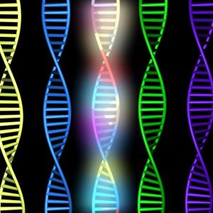 AI tool reads histology slides to predict lung cancer mutations