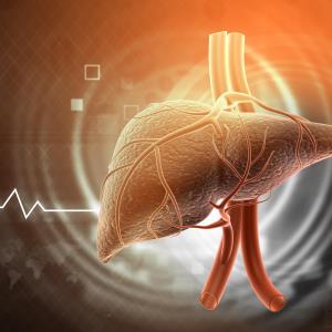 Growth hormone reduces liver fat, fibro-inflammation in obese/overweight adults with NAFLD