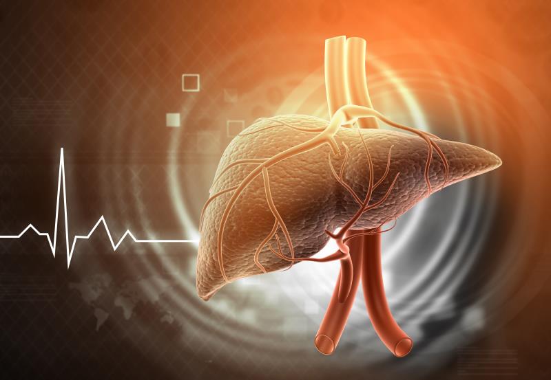 Growth hormone reduces liver fat, fibro-inflammation in obese/overweight adults with NAFLD