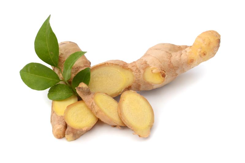 Ginger shows antiemetic potential in kids with acute gastroenteritis