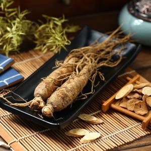 Ginseng, α-cyclodextrin of no help for glycaemic, cholesterol control