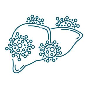 Glecaprevir/pibrentasvir shows favourable efficacy signals for paediatric HCV
