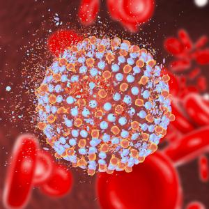 Hepatitis C treatment benefit extends to nonhepatic cancers