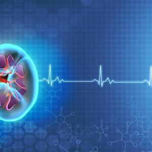 Glomerular disease tied to increased CVD risk