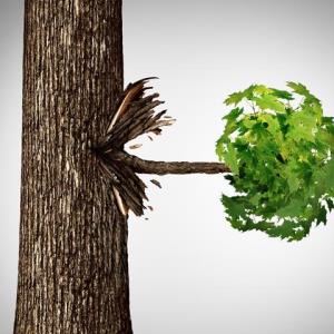 GLP-1 RA benefit may branch out into obesity-related cancers