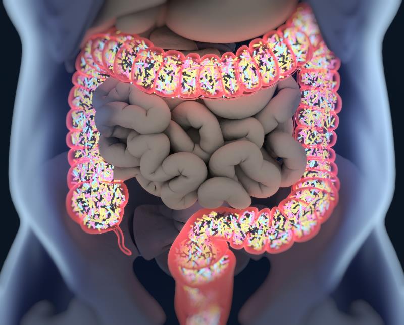 Characterizing COVID-19 patients with GI symptoms