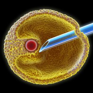 In vitro fertilization contributes to neoplasm risk in offspring