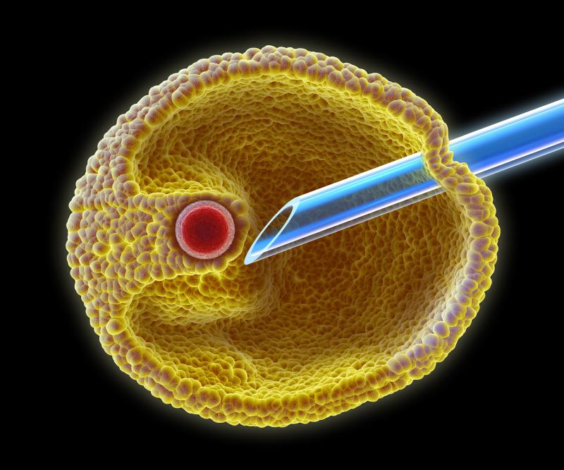 In vitro fertilization contributes to neoplasm risk in offspring