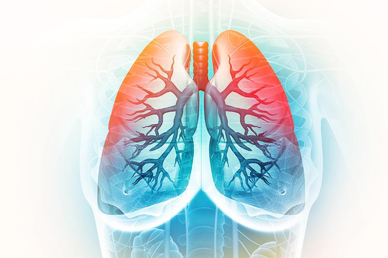 GOLD 2025 Guideline: What’s new + Dupilumab’s role in reducing COPD exacerbations
