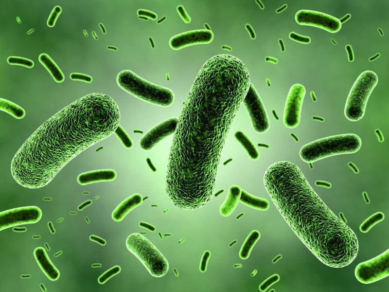 Gene-edited probiotics combat C. difficile in gut