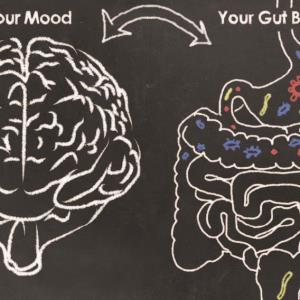 Novel probiotics may improve mood disorder symptoms and sleep quality