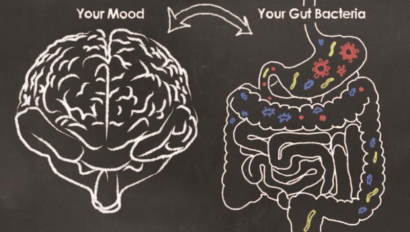 Novel probiotics may improve mood disorder symptoms and sleep quality