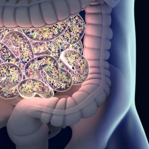 Fasting alters microbiome to reduce weight, control BP