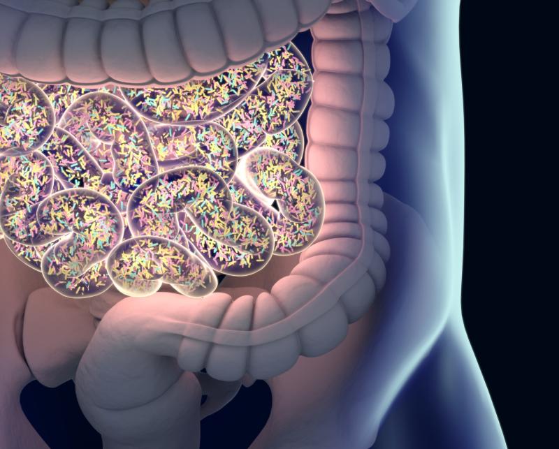 The composition of gut microbiota is critical not only for regulating the immune system, but also for maintaining mental heal