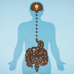 Probiotics may be a promising treatment for depression