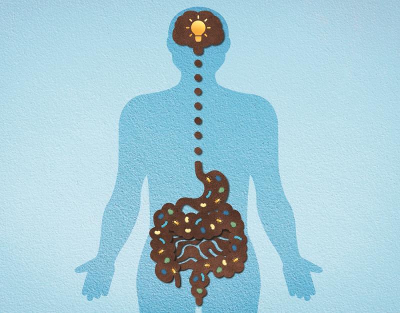 Probiotics may be a promising treatment for depression