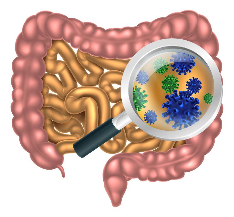 Research has identified a protein that stops bacteria from infecting cells of the intestine, protecting it against inflammati