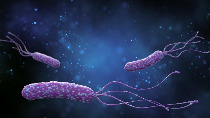 Modified dual therapy on par with recommended regimen in H. pylori infection