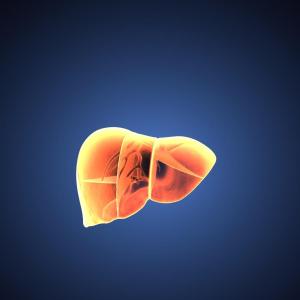 Liver stiffness linked to HCC survival, recurrence after ablation