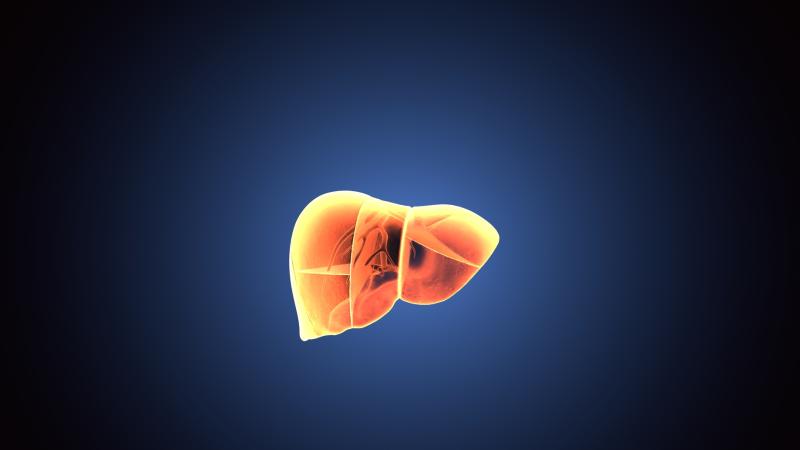 Liver stiffness linked to HCC survival, recurrence after ablation