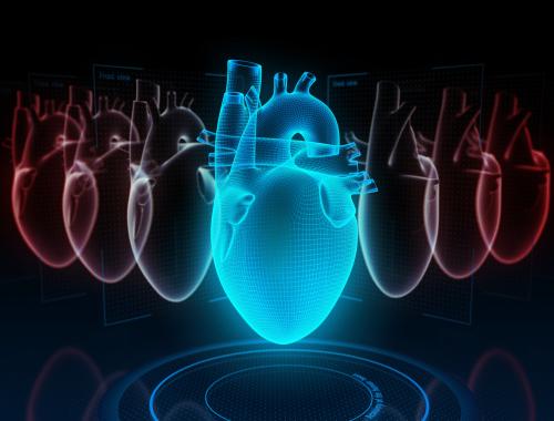 Anti-CGRP monoclonal antibodies pose no increased CVD risk