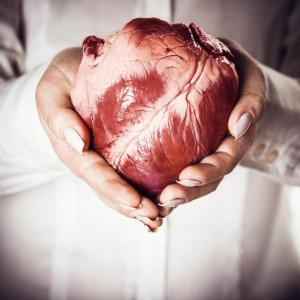 Hearts donated after circulatory vs brain death tied to post-transplant dysfunction