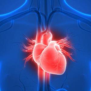 Pulmonary complications worsen infective endocarditis outcomes