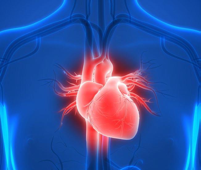 Pulmonary complications worsen infective endocarditis outcomes