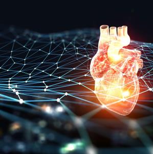 Low-dose sildenafil shows therapeutic potential in primary coronary slow flow phenomenon