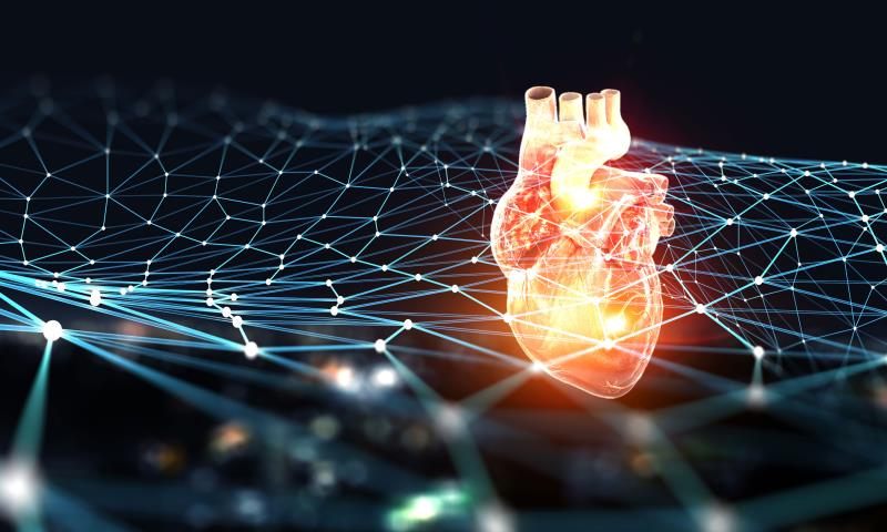 Low-dose sildenafil shows therapeutic potential in primary coronary slow flow phenomenon
