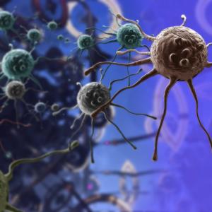 Ofatumumab works for elderly CLL patients with poor performance status, comorbidities