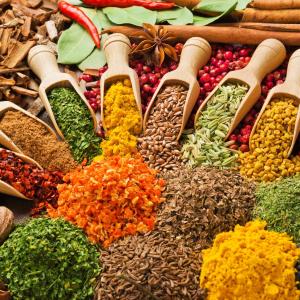 Spice diet lowers proinflammatory cytokines, alters monocyte function in adults