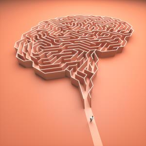 High BP in young adulthood tied to brain changes in midlife