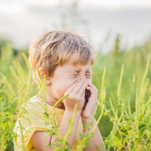 Living on a farm protects from allergic rhinitis from childhood to early adulthood