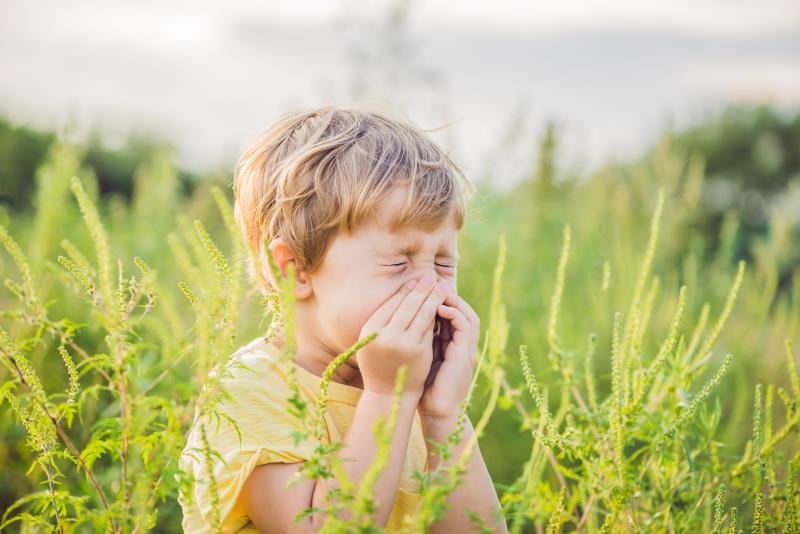 Living on a farm protects from allergic rhinitis from childhood to early adulthood